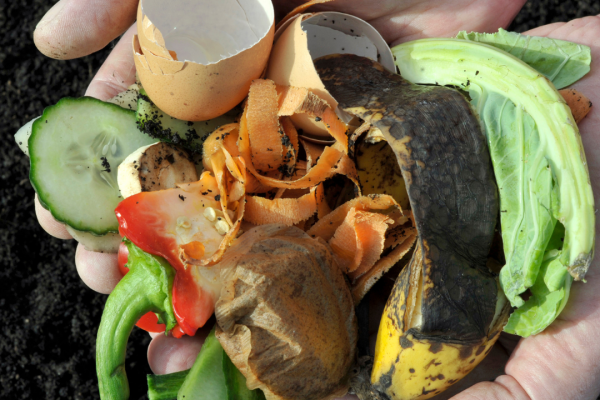 Compost: Transformation Accomplished